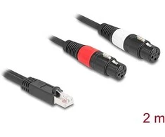 Delock Adapterkabel RJ45 Stecker zu 2 x XLR 3 Pin Buchse juodas 2 m
