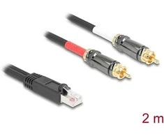 Delock Adapterkabel RJ45 Stecker zu 2 x Cinch Stecker juodas 2 m