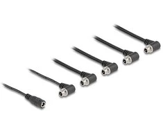 Delock DC Splitter Kabelis 1 x Buchse gerade zu 5 x Buchse 5,5 x 2,1 mm 90° gewinkelt zum Einbau juodas