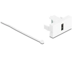 Delock Easy 45 Modul USB 2.0 Typ-A Buchse zu Terminalblock baltas