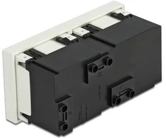 Delock Easy 45 Schutzkontakt-Steckdose 2-fach 45°-Anordnung 45 x 45 mm