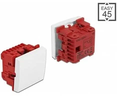 Delock Easy 45 Wippschalter Aus-Wechsel 45x45mm baltas
