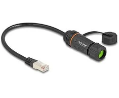 Delock Kabelis RJ45 Stecker zu RJ45 Buchse Cat.6A zum Einbau mit M20 Gewinde und Gehäuse IP68 staub- und wasserdicht 25 cm juodas