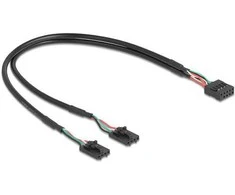 Delock Kabelis USB 2.0 Pfostenbuchse 2,54 mm 10 Pin zu 2 x USB 2.0 Pfostenbuchse 2,54 mm 4 Pin 30 cm