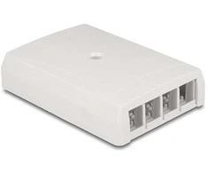Delock Keystone Leergehäuse Aufputz 4 Port für Glasfaser und Netzwerk baltas