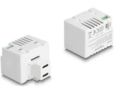 Delock Keystone Modul mit 2 x USB Type-C™ Ladebuchsen PD 20 W baltas