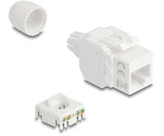 Delock Keystone Modul RJ45 Buchse zu LSA Cat.6A UTP 180° werkzeugfrei mit Kabelverschraubung