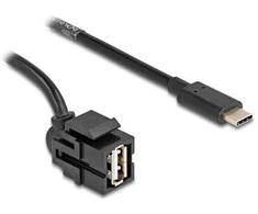 Delock Keystone Modul USB 2.0 A Buchse zu USB Type-C™ Stecker 250° mit Kabelis 0,5 m