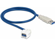 Delock Keystone Modul USB 5 Gbps gniazdo Typ-A 250° do wtyku Typ-A su kablem 0,5 m balta