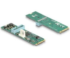 Delock Konverter M.2 Key B+M Stecker zu 2 x USB 5 Gbps Typ-A Buchse mit 50 cm Kabelis