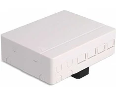 Delock LWL Anschlussdose für Hutschiene 4 x SC Simplex oder LC Duplex baltas
