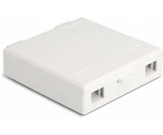 Delock LWL Anschlussdose zur Wandmontage für 2 x SC Simplex oder LC Duplex baltas