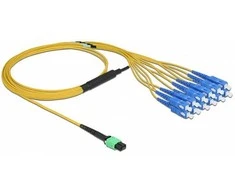 Delock LWL Kabelis MPO Buchse zu 12 x SC Simplex Stecker, Singlemode, 9/125 µm, 2 m