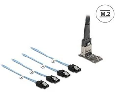 Delock M.2 2242 Key B+M Kontroller zu 4 x SATA mit 1 m Kabelis