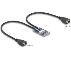 Delock Mini PCIe Adapteris full size zu 2 x USB 2.0 Typ-A Buchse 30 cm