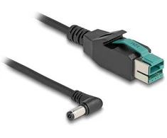 Delock PoweredUSB Kabelis Stecker 12 V zu DC 5,5 x 2,1 mm Stecker gewinkelt 2 m