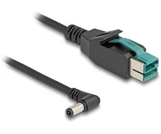Delock PoweredUSB Kabelis Stecker 12 V zu DC 5,5 x 2,5 mm Stecker gewinkelt 3 m