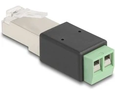 Delock RJ45 Stecker zu Terminalblock Adapteris 2 Pin