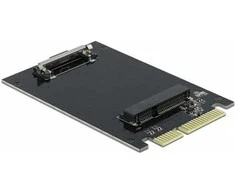 Delock SATA 22 Pin Stecker zu mSATA Slot Adapteris