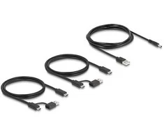DELOCK USB 5 Gbps Switch 4 x Gert und 2 x Host