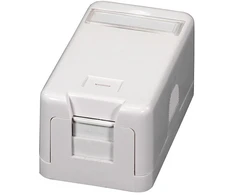 Efb Elektronik EFB Keystone Verteilerbox Aufputz, 1-Port, Staubschutz selbstschlieend
