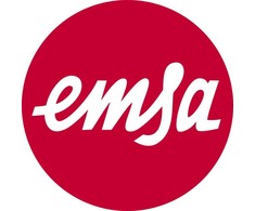 Emsa TRAVEL MUG Classic Grande thermal mug (stainless steel, 0.5 liters)