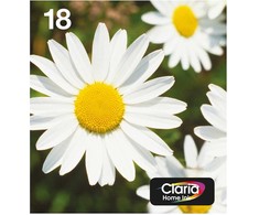 Epson 18 EasyMail "Daisy" Ink Multipack (4 spalvų)