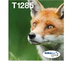 Epson T1285 EasyMail „Fox“ rašalo daugiapakopė (4 spalvų)