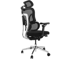 Equip ergonominė biuro kėdė + galvos atrama / porankiai + SFS juoda Lite mažmeninė prekyba
