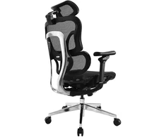 Equip Ergonomischer Bürostuhl+Kopf/Armstützen juodas lite Retail