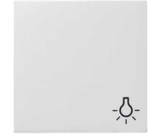 GIRA 028503 Wippe Licht reinweiß System 55
