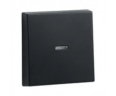 GIRA 0290005 Wippe Kontrollf. System 55 Juodas