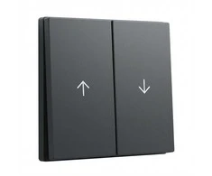 GIRA 329428 Wippe 2f Pfeil System 55 Anthrazit