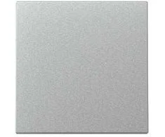 GIRA 329626 Wippe System 55 F Alu
