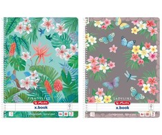 Herlitz Herlitz 50044245 sąsiuvinis A4 80 lapų Įvairių spalvų