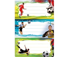 Herma HERMA Mokyklinės etiketės Vario futbolo kamuolys blizgus