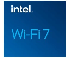 INTEL WI-FI 7 BE202 2230 2x2 BE+BT No vPro