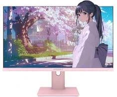 Monitorius JAPANNEXT 60,5 cm JN-I238FHD120F-HSP-PK 16:9 HDMI rožinis FHD