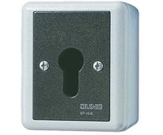 JUNG 806.28 G - Key-operated switch - 2P - Wired - Juodas,Baltas - IP44 - 250 V