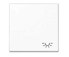 Jung A 590 L WW Wippe mit Licht-Symbol