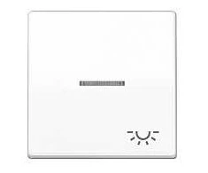 Jung AS 591 KO5L WW Wippe Kontroll mit Licht-System