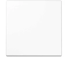 JUNG Wippe LS101WW f.Taster