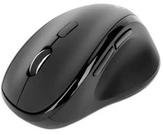Pelė Manhattan Ergonomiczna belaidė pelė USB-A/C 6 przycisków + kółko myszy