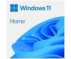 Microsoft Windows 11 Home - Box-Pack - 1 Lizenz - Flash-Laufwerk