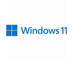 Operacinė sistema Microsoft Windows 11 Pro 64-bit English USB