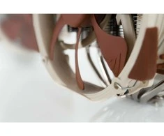 NOCTUA NH-D15 CPU aušintuvas - 140/140 mm
