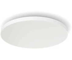 Lubinis šviestuvas Philips Hue balta ir spalvota aplinka „Datura XL“