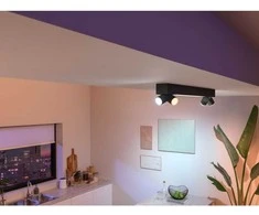 Philips Hue Baltas &amp; Color Ambiance Centris lubinis šviestuvas juodas • 4 taškų