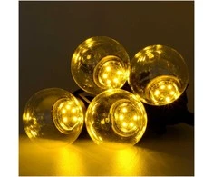 Carruzzo RealPower 463627 lempučių girlianda 10 m 24 lemputės LED