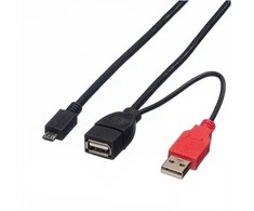 ROLINE USB 2.0 Y-Kabelis 2x Typ A ST / BU - Micro B ST 1m